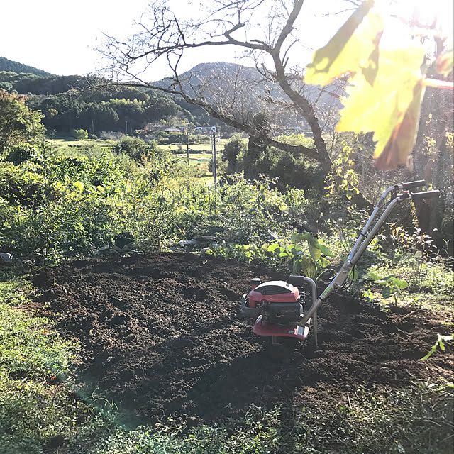 sakurasakuさんの実例写真