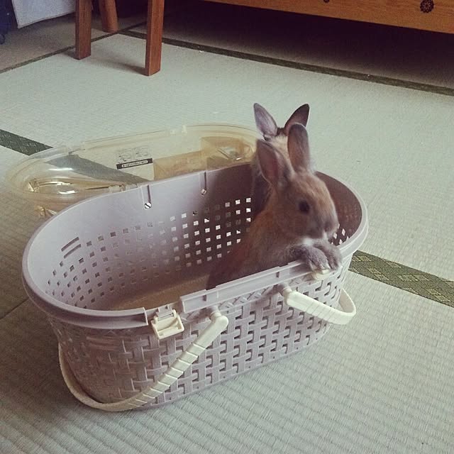 yu-ya1124さんの実例写真