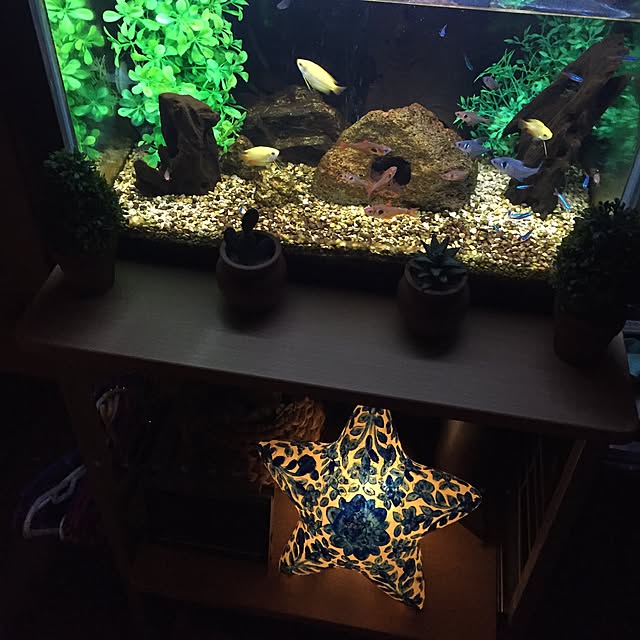 shinさんの実例写真