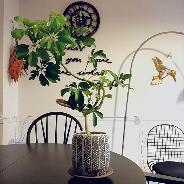 coco.Apartmanさんの実例写真