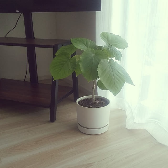 Rieさんの実例写真