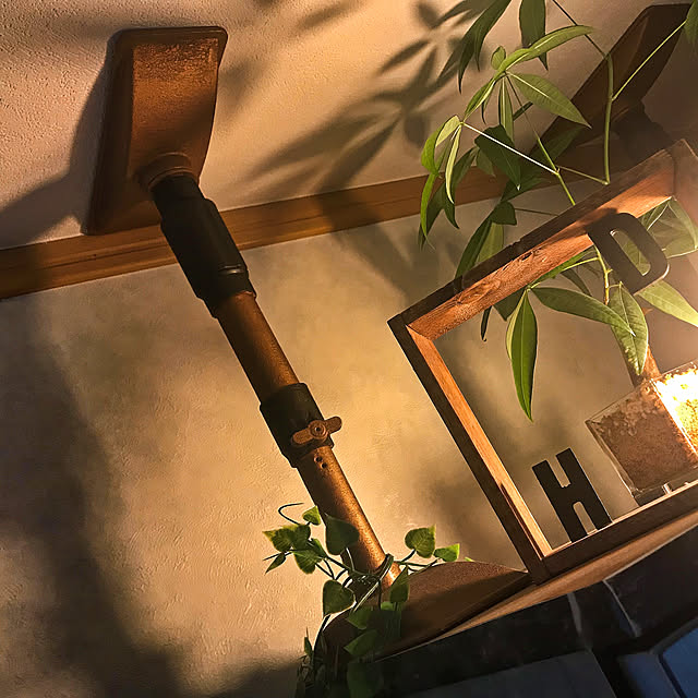 HxDさんの実例写真