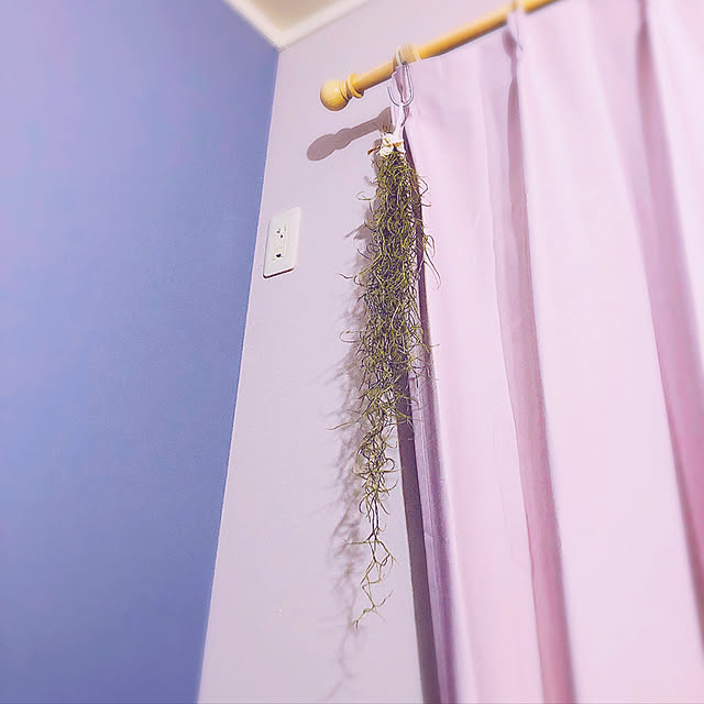 circustownさんの実例写真