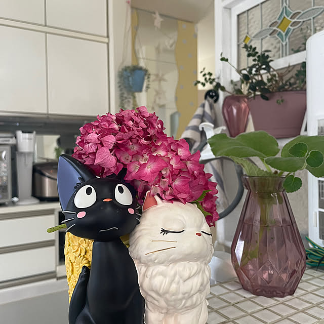 hameda0909さんの実例写真