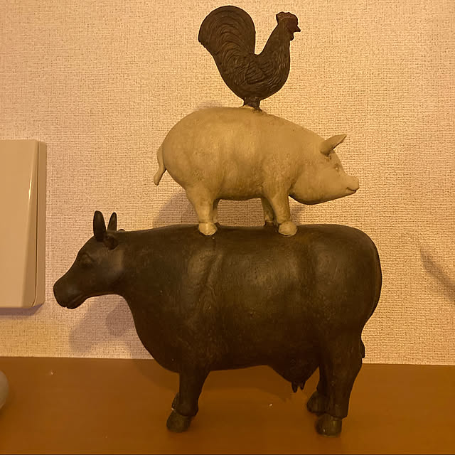 実例写真