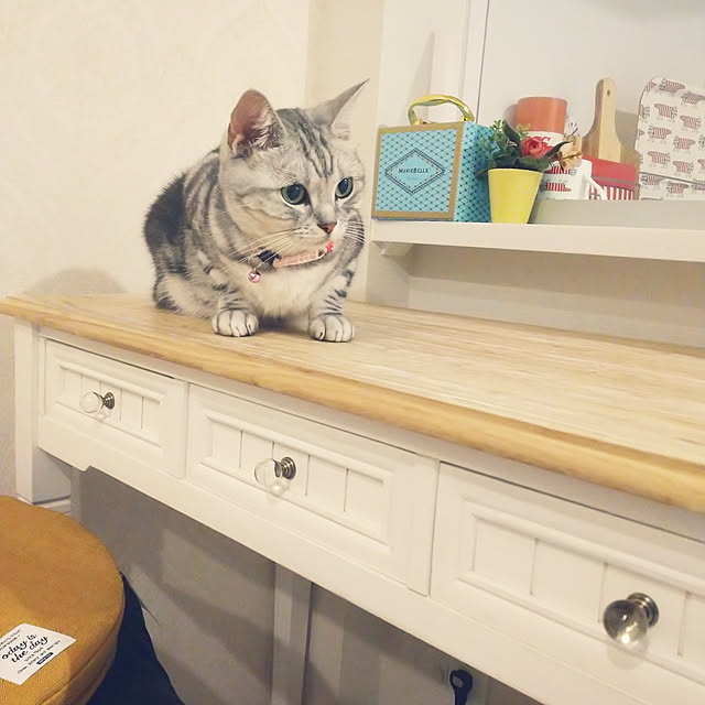filament0109さんの実例写真