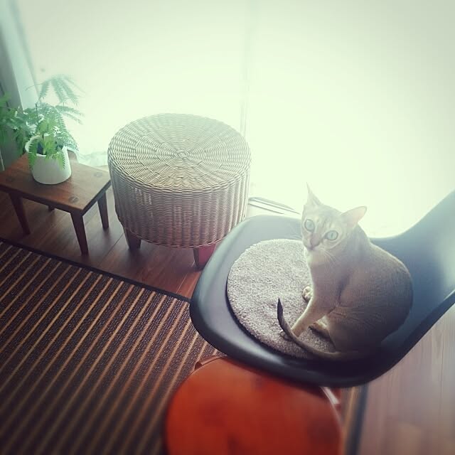 Jcさんの実例写真