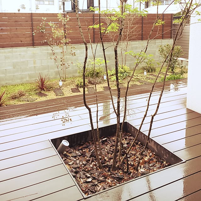 sakineko528さんの実例写真