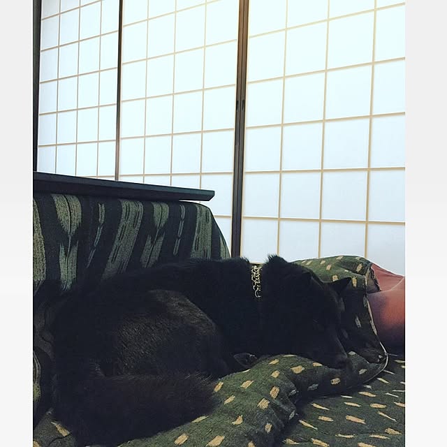 rikorikoさんの実例写真