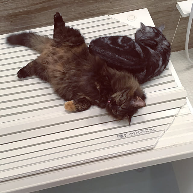 mikomaruさんの実例写真