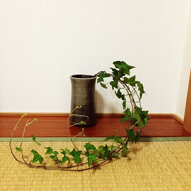 mymさんの実例写真