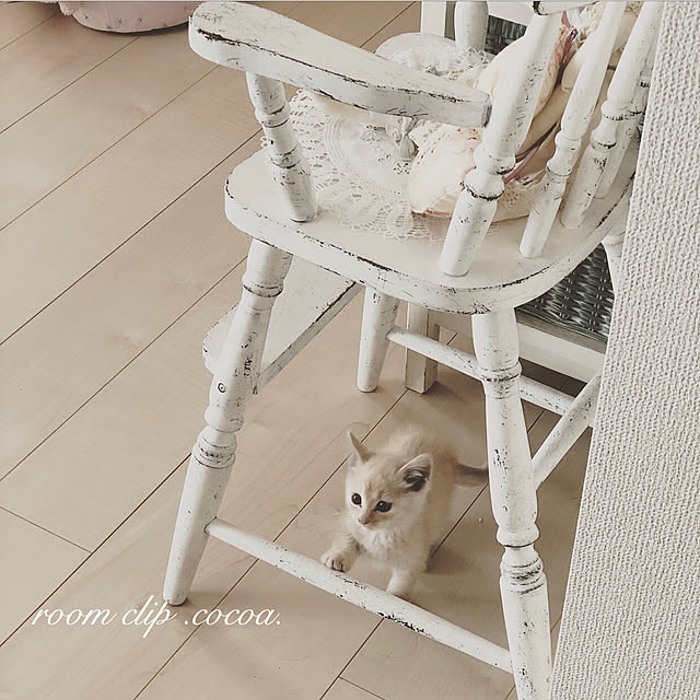 Amour_de_coeurさんの実例写真