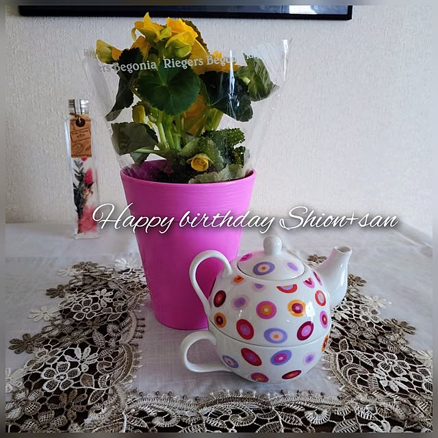 moruさんの実例写真