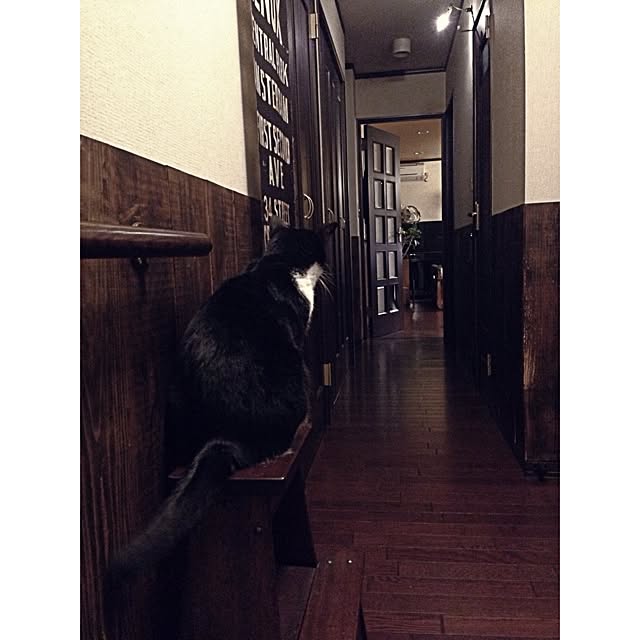 jnkaiさんの実例写真
