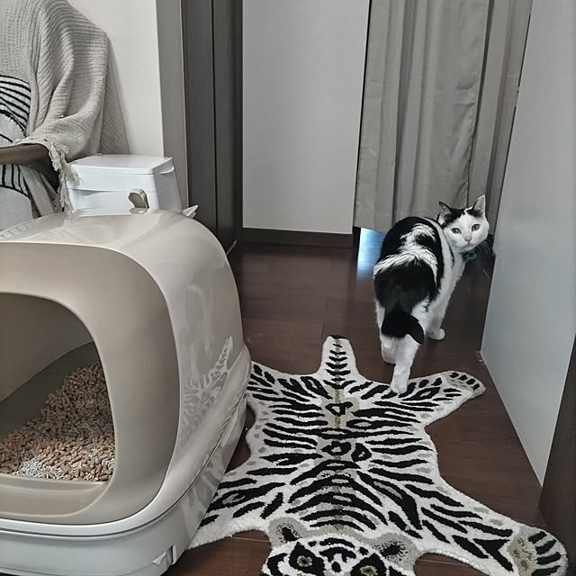 yuuさんの部屋