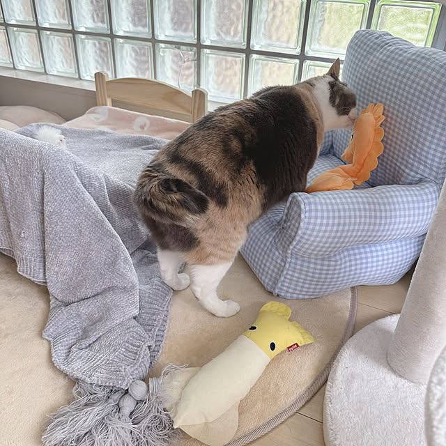 nene6さんの実例写真