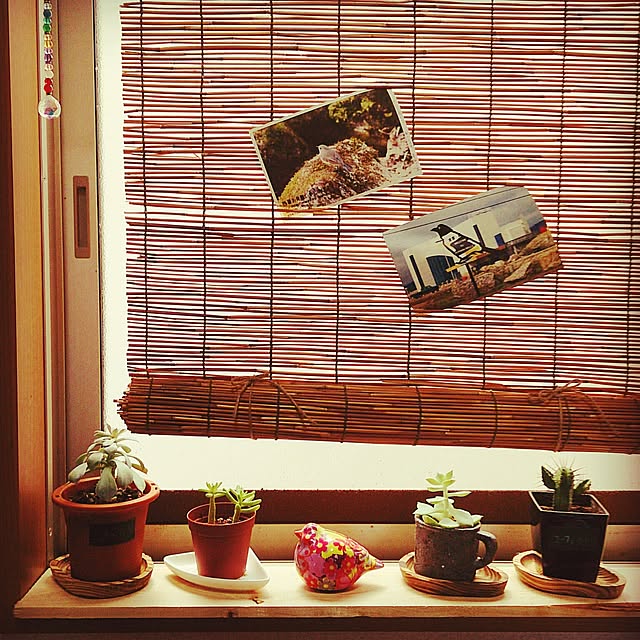 taakoさんの実例写真