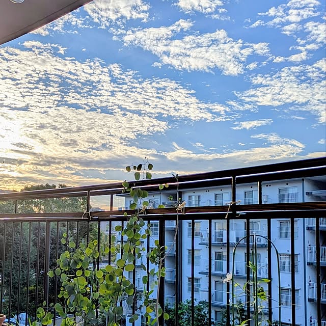 mi-saさんの部屋