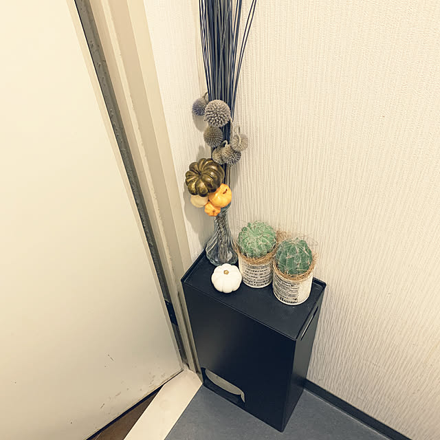 kiyoeさんの実例写真