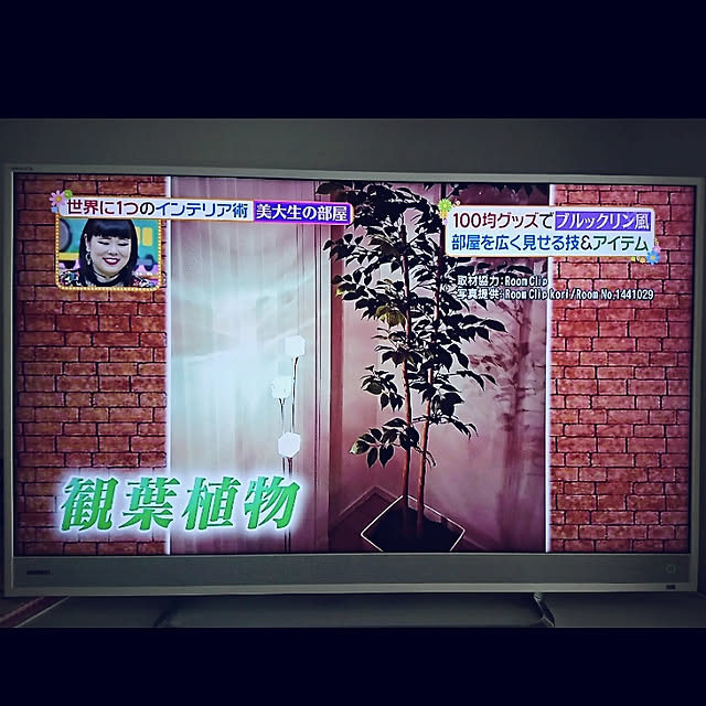 koriさんの実例写真