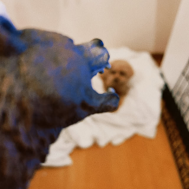 Momoさんの実例写真