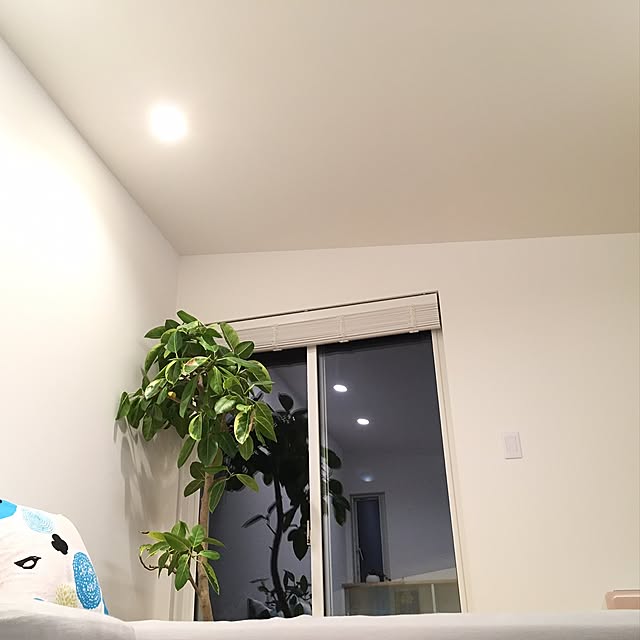 chi___sさんの実例写真
