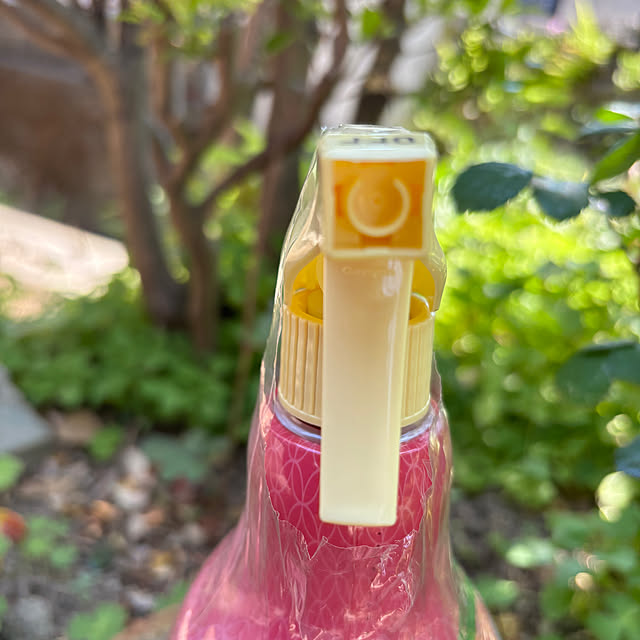 SIELUさんの部屋
