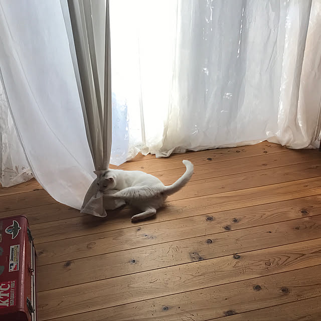 sakurasakuさんの実例写真