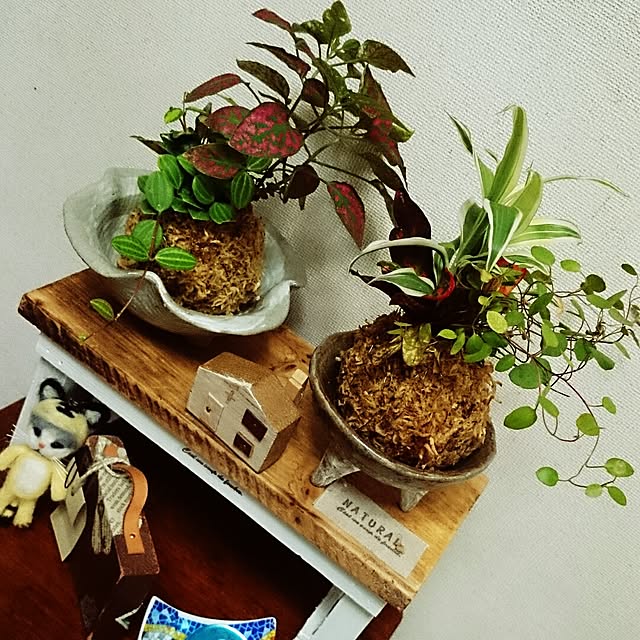 rookier05さんの実例写真