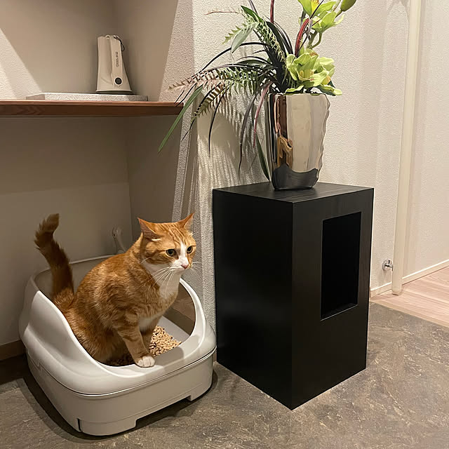 maimaiさんの部屋