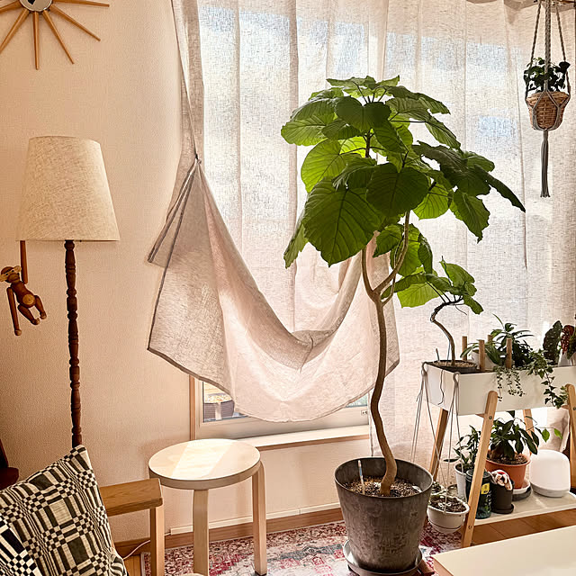 masumiさんの部屋