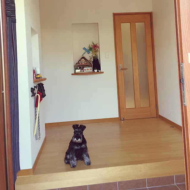 Arutanさんの実例写真