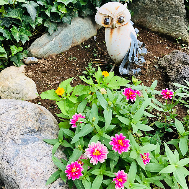 humizukiさんの実例写真