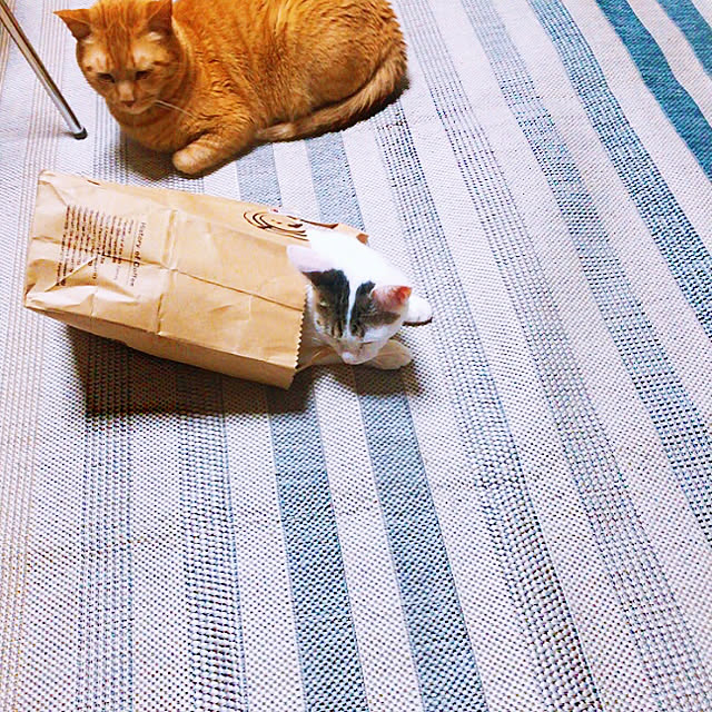 kirakirahikaru814さんの実例写真