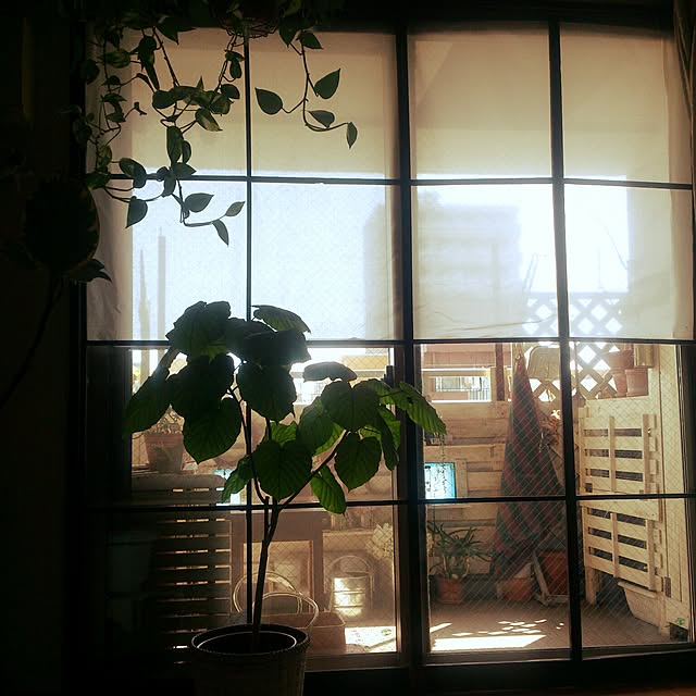 mayさんの実例写真