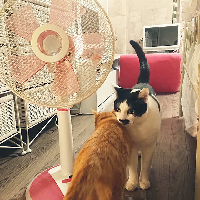 asuminさんの実例写真