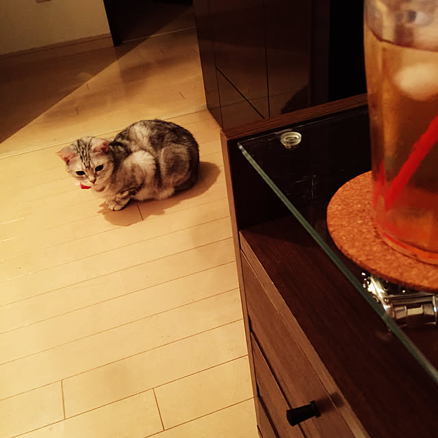 fantasticさんの実例写真