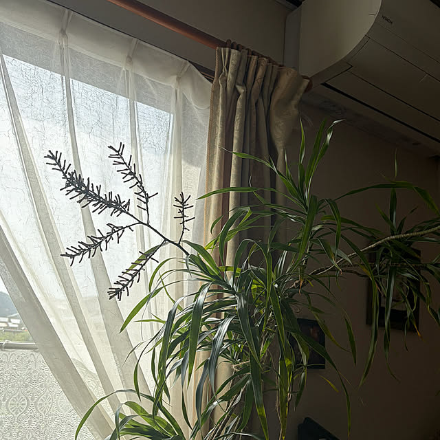 ritsukoさんの部屋