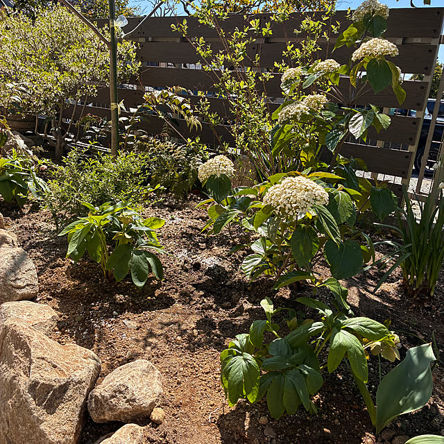 walking123さんの部屋