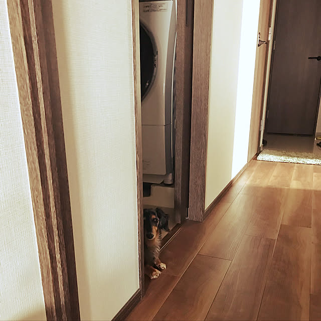 nanaさんの実例写真