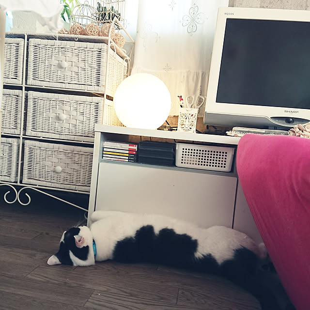 asuminさんの実例写真