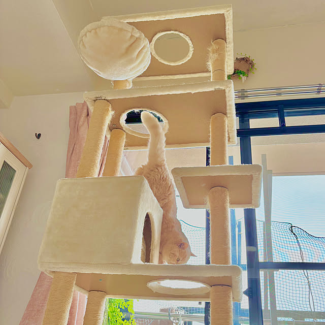 naokoさんの部屋