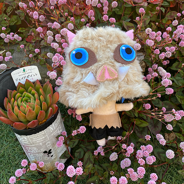puriさんの実例写真
