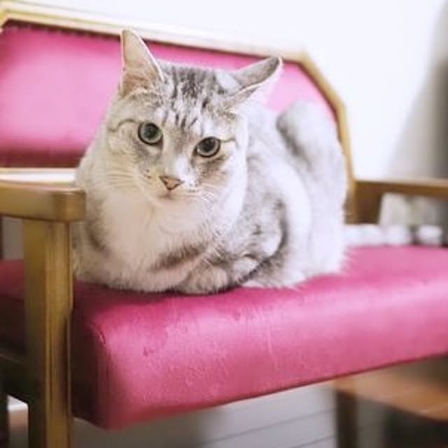 lifestyle-funfunさんの実例写真