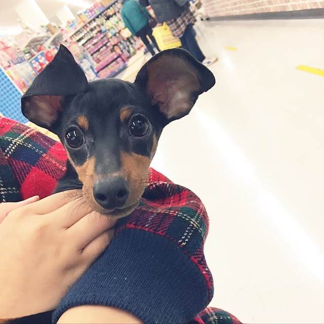 suzyさんの実例写真