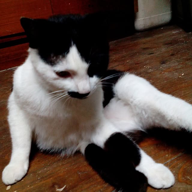 shusen.miyaさんの実例写真