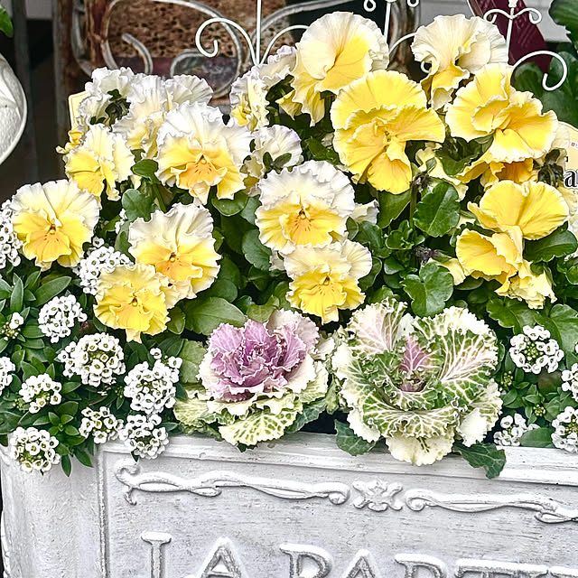 cocoさんの実例写真