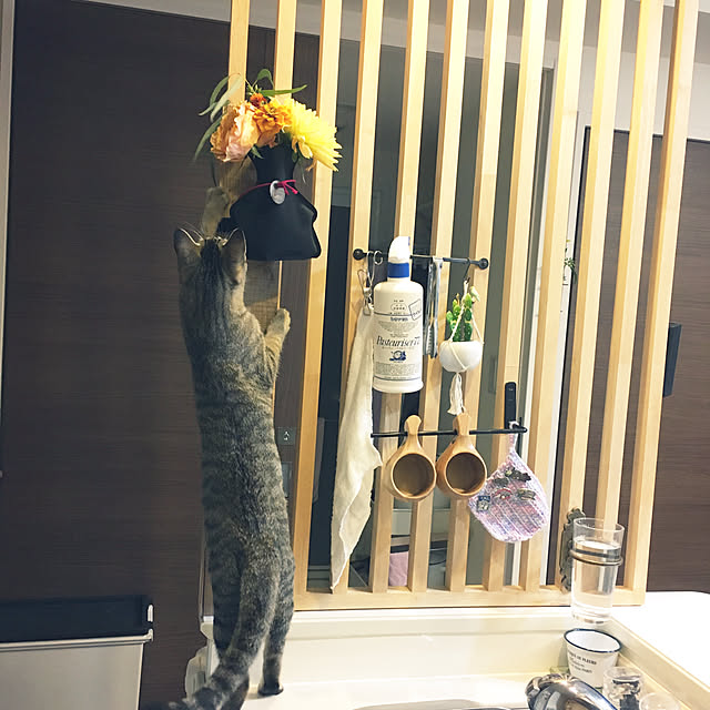 mikomaruさんの実例写真