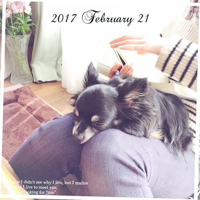 mockさんの実例写真