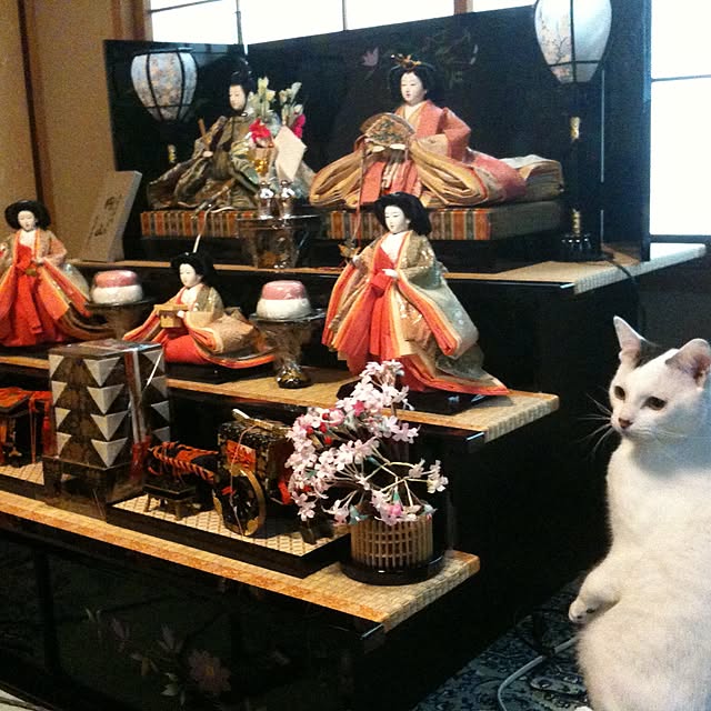 Masamiさんの実例写真